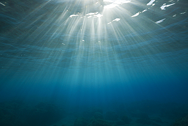 Sunbeams filtering through Water Surface, Caribbean Sea, Dominica