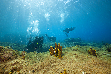 Volcanic Air Bubbles at Champagne Beach, Caribbean Sea, Dominica