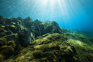 Volcanic Air Bubbles at Champagne Beach, Caribbean Sea, Dominica