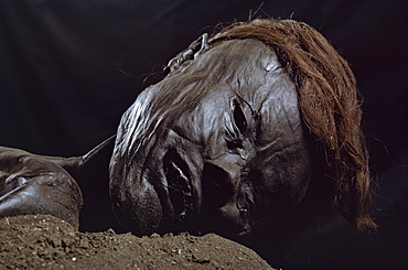 Head of Grauballe Man, Iron Age bog mummy, Aarhus, Denmark, Scandinavia, Europe