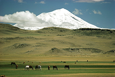 Mount Ararat, Anatolia, Turkey, Asia Minor, Eurasia