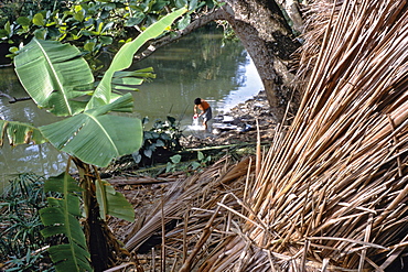 A woman washing clothes in the Rio Mata near the town of Baracoa in eastern Cuba, Cuba