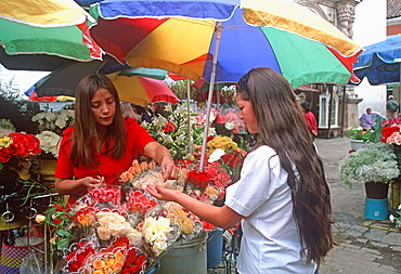 Cuenca World Heritage City & Ecuador's third largest city, famous for its colonial architecture student in flower market off Calderon Park, Highlands, Ecuador