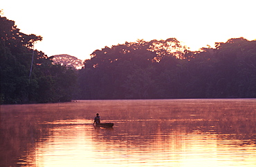 Amazon River Basin Napo River (Amazon tributary) down river from Coca an indian in a dugout canoe in primary rainforest at sunrise, Oriente, Ecuador