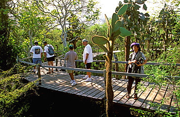 Tourists walk through the tortoise breeding areas of the Charles Darwin Research Station on Santa Cruz Island, Galapagos Islands, Ecuador