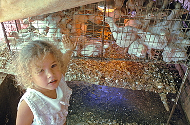 Farm girl in front of a chicken coop on her family's farm in La Serafina in the Province of La Habana in central Cuba, Cuba