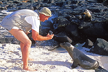 Eco-tourists photographing sea lions on Mosquera Island near Bartolome, Galapagos Islands, Ecuador