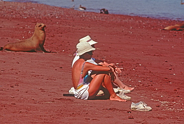 Rabida Island, tourists sitting quietly near Sea Lions to demonstrate how unafraid the animals are during an ecotourism trip, Galapagos Islands, Ecuador