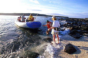 Eco-tourists coming from scuba diving boat for land excursion to see sea lions on Mosquera Island near Bartolome Island, Galapagos Islands, Ecuador