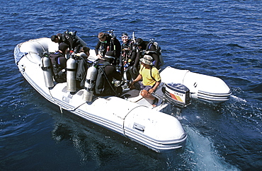 Scuba divers in an inflatable tender taking them to their dive site off Wolf Island, one of the most northerly of the islands, Galapagos Islands, Ecuador