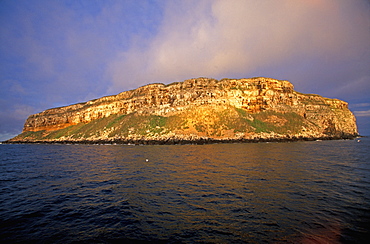 Steep, rugged, volcanic cliffs surround Wolf Island one of the newest and most northerly of the Galapagos Island group, Galapagos Islands, Ecuador