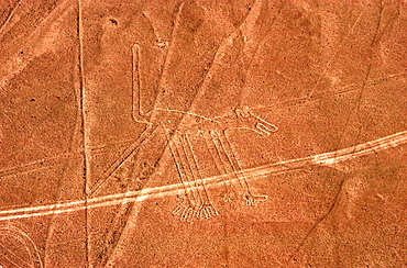 Nazca lines, 200AD-800AD huge drawings in the desert on the south coast of Peru aerial view of a giant dog, Peru