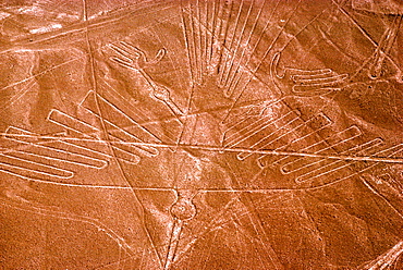 Nazca lines, 200AD-800AD huge drawings in the desert on the south coast of Peru aerial view of a giant hummingbird, Peru