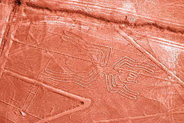 Nazca lines, 200AD-800AD huge drawings in the desert on the south coast of Peru aerial view of giant scorpion spider, Peru