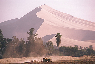 Farmland oasis at Ica surrounded by desert and huge, 1000' high, sand dunes, Peru