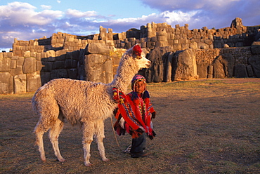 Sacsayhuaman huge hilltop, Inca fortress built in the 15thC above Cuzco with walls of immense stones child and llama below walls, Highlands, Peru