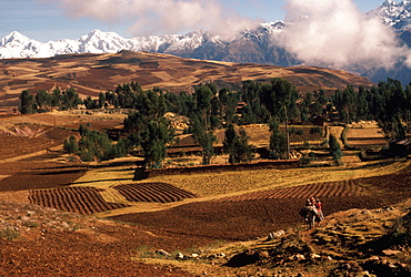 The Cordillera de Urubamba Mountains above the fields at Maras near Cuzco, Andes Mountains, Highlands, Peru