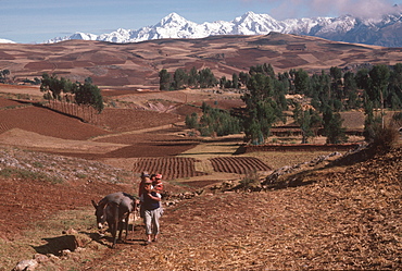 The Cordillera de Urubamba Mountains above the fields at Maras near Cuzco, Andes Mountains, Highlands, Peru