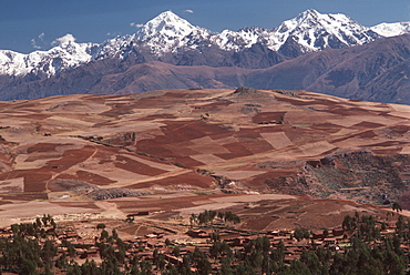 The Cordillera de Urubamba Mtn s above fields at Maras near Cuzco, Andes Mountains, Highlands, Peru