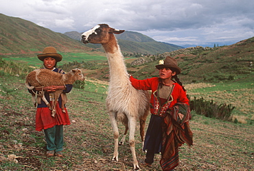 Two young Quechua girls herding a llama and sheep to their village near Cuzco, Andes Mountains, Highlands, Peru