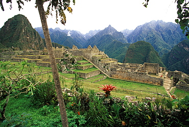 Machu Picchu view past tropical vegetation across the Central Plaza to the Residential Sector and the surrounding mountains beyond, Highlands, Peru