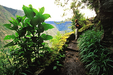 Machu Picchu part of the Inca Trail to Inca drawbridge along sheer rock walls above the Urubamba River, Highlands, Peru