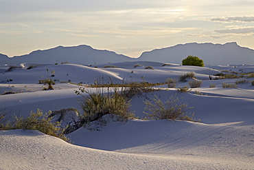 Sand dunes at dusk, White Sands National Monument, New Mexico, United States of America, North America