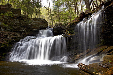 R.B. Ricketts Falls, Ricketts Glenn State Park, Pennsylvania, United States of America, North America