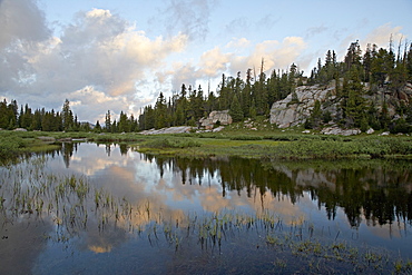 Litte Bear Creek at sunrise, Shoshone National Forest, Montana, United States of America, North America