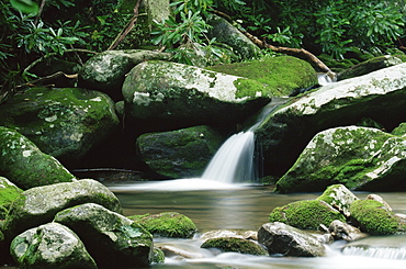 Cascade, Great Smoky Mountains National Park, UNESCO World Heritage Site, Tennessee, United States of America, North America