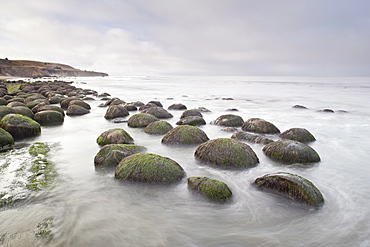 Boulders, known as Bowling Ballls, in the surf, Bowling Ball Beach, California, United States of America, North America