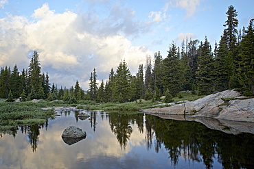 Little Bear Creek at sunrise, Shoshone National Forest, Montana, United States of America, North America