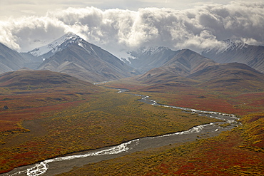 Mountains and a stream through the tundra in fall color, Denali National Park and Preserve, Alaska, United States of America, North America