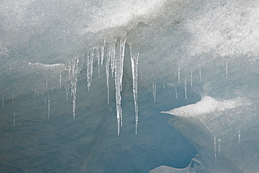 Icicles on the face of the Athabasca Glacier, Jasper National Park, UNESCO World Heritage Site, Alberta, Canada, North America