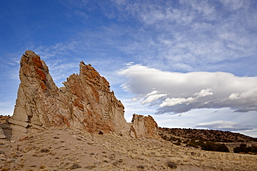 Rock fin, Carson National Forest, New Mexico, United States of America, North America