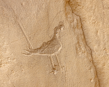 Petroglyph near Chetro Ketl, Chaco Culture National Historical Park, UNESCO World Heritage Site, New Mexico, United States of America, North America