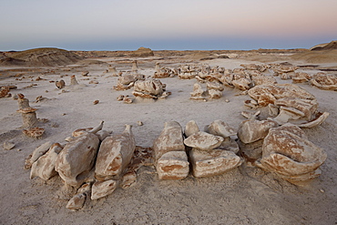 Rocks at the Egg Factory at dusk, Bisti Wilderness, New Mexico, United States of America, North America