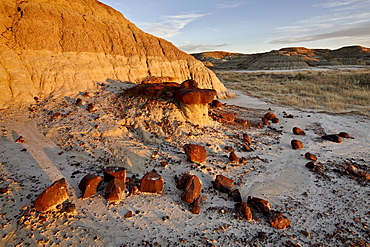 Badlands, Dinosaur Provincial Park, UNESCO World Heritage Site, Alberta, Canada, North America