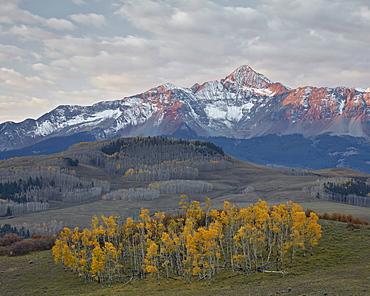 Wilson Peak with a dusting of snow in the fall, San Juan National Forest, Colorado, United States of America, North America 