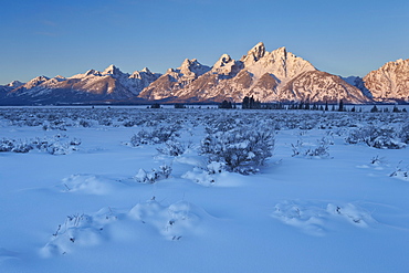 The Teton Range at first light after a fresh snow, Grand Teton National Park, Wyoming, United States of America, North America 