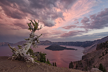 Sunset at Crater Lake with Wizard Island, Crater Lake National Park, Oregon, United States of America, North America 