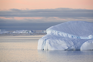 Icebergs at dawn off Antarctic Peninsula, Antarctica, Polar Regions