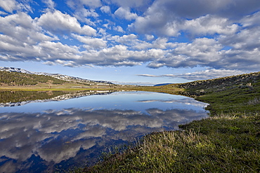 Clouds reflected in a pond, Yellowstone National Park, UNESCO World Heritage Site, Wyoming, United States of America, North America