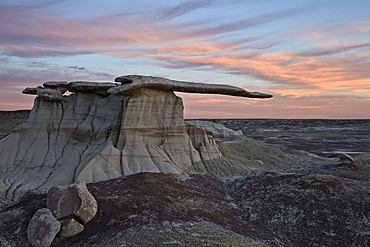 King of Wings at sunset, Bisti Wilderness, New Mexico, United States of America, North America