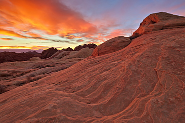 Brilliant orange clouds at sunrise over sandstone, Valley Of Fire State Park, Nevada, United States of America, North America