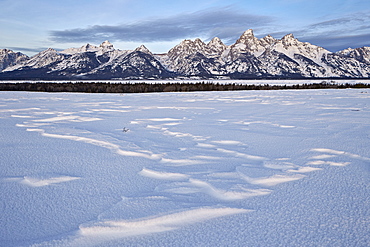 Tetons at dawn in the winter, Grand Teton National Park, Wyoming, United States of America, North America