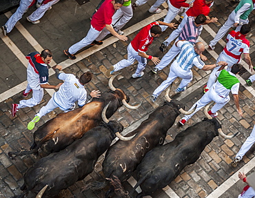 Running of the Bulls, Festival of San Fermin, Pamplona, Navarra, Spain, Europe