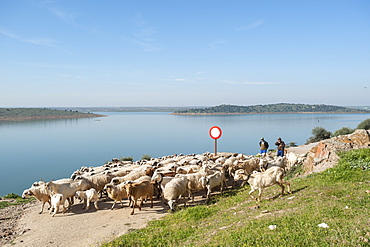 Alange, Badajoz, Extremadura, Spain, Europe