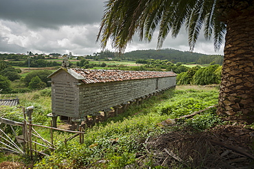 Horreo (stone granary), A Coruna, Galicia, Spain, Europe