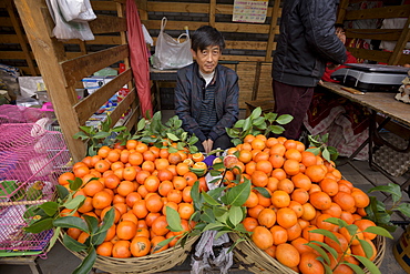 Oranges on fruit stall, Hancheng, Shaanxi Province, China, Asia